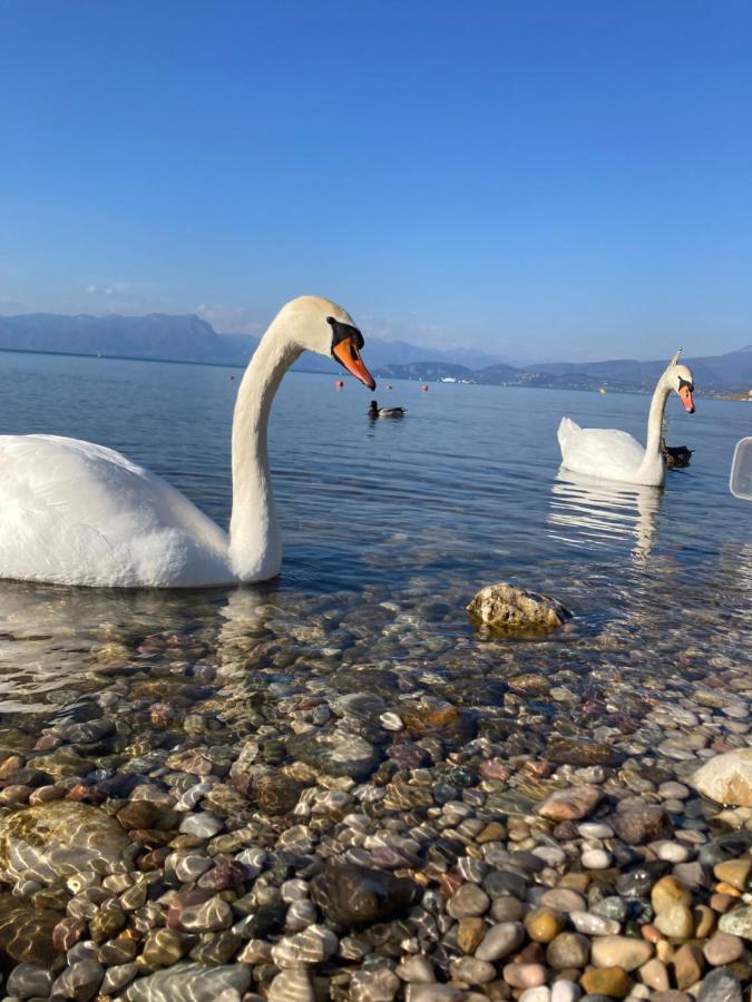 Garda Art&Lake Peschiera del Garda Esterno foto